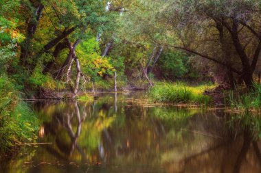 Uzun pozlama fotoğraf içinde belgili tanımlık geçmiş kırık ağacıyla Nehri'nin