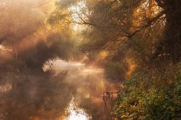 Sonnig Und Neblig Frühen Morgen Auf Dem Fluss — Stockfoto