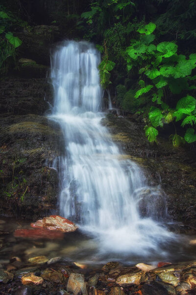 Small waterfall in the forest