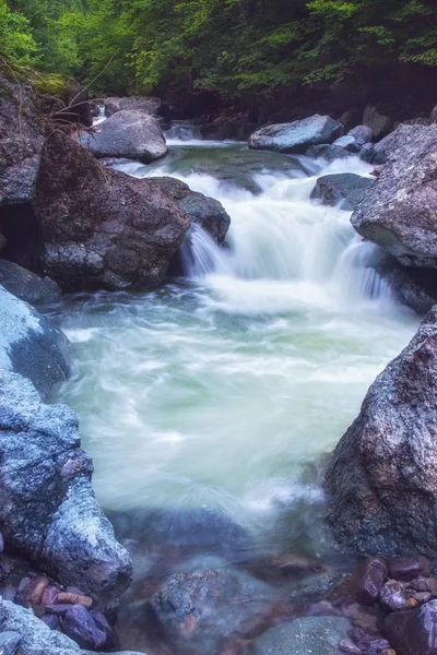 Río Pequeño Salvaje Rodando Sobre Rocas — Foto de Stock