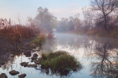 Sisli puslu sabah bir Nehri yanındaki