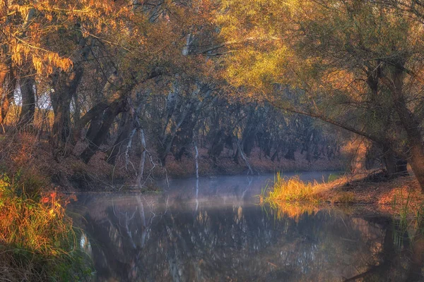 Goldene Bäume Ufer Des Flusses — Stockfoto