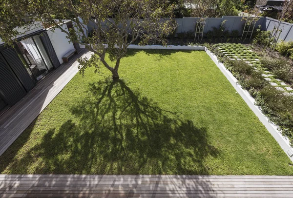 Tree Casting Shadow Sunny Luxury Yard — Stock Photo, Image