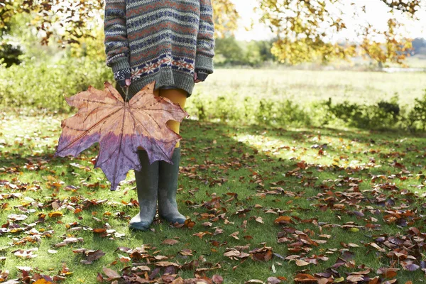 Niedriger Abschnitt Des Kindes Mit Großem Herbstblatt — Stockfoto