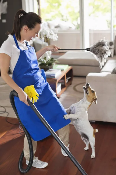 Maid Playing Dog Living Room — Stock Photo, Image