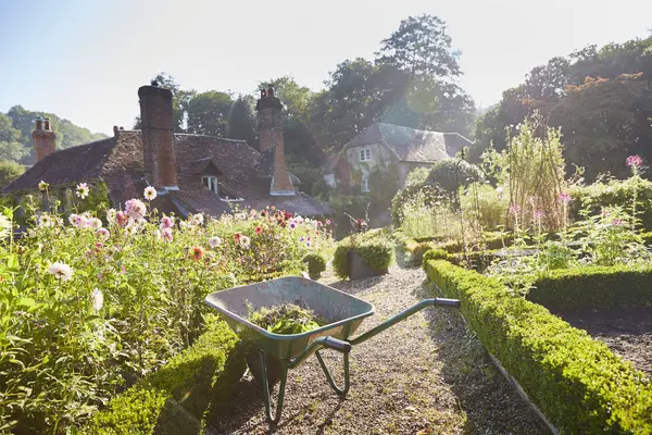 Schubkarre Sonnigen Garten — Stockfoto