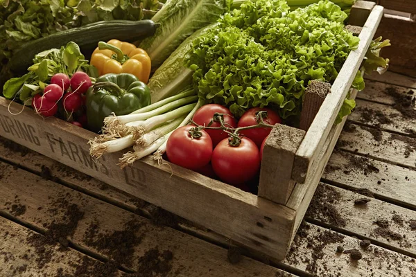 Still Life Fresh Organic Healthy Vegetable Harvest Variety Wood Crate — Stock Photo, Image