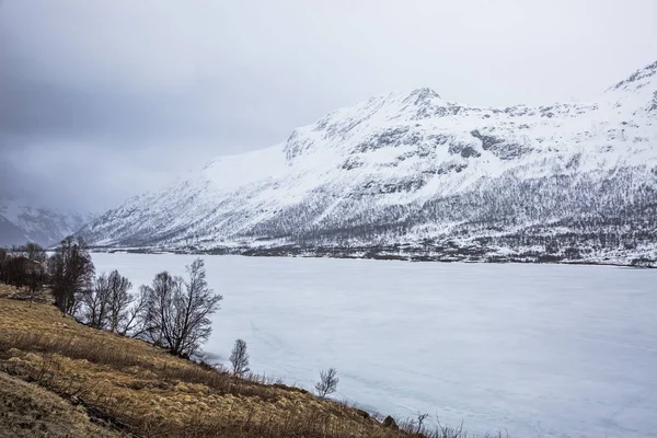 Zasněžené Hory Fjord Austpollen Hinnoya Norsko — Stock fotografie