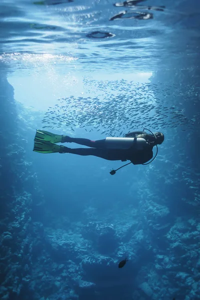 Genç Kadın Tüplü Dalış Sualtı Arasında Balık Vava Tonga Pasifik — Stok fotoğraf
