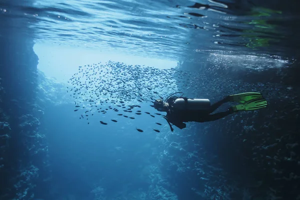 Vrouw Duiken Onderwater Onder School Van Vissen Vava Tonga Stille — Stockfoto