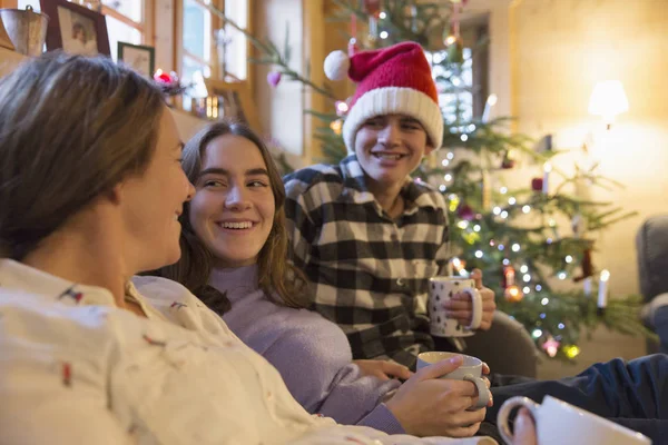 Family Relaxing Christmas Living Room — Stock Photo, Image