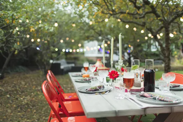 Dinner Garden Party Table — Stock Photo, Image