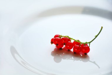 Frenk üzümü çilek dal beyaz tabak arka plan üzerinde hizmet