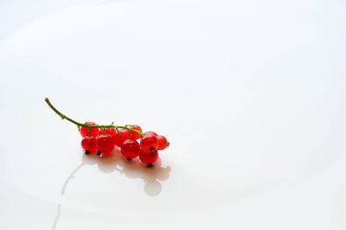 Frenk üzümü çilek dal beyaz tabak arka plan üzerinde hizmet