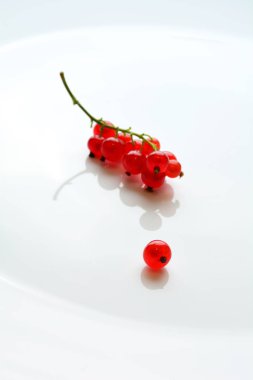 Frenk üzümü çilek dal beyaz tabak arka plan üzerinde hizmet