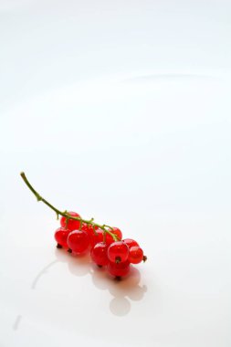 Frenk üzümü çilek dal beyaz tabak arka plan üzerinde hizmet