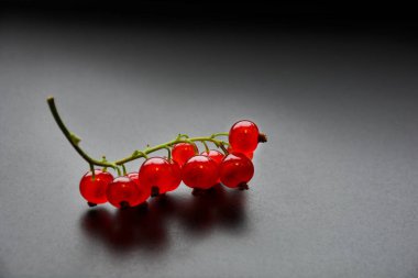 Frenk üzümü çilek dal siyah plaka arka plan üzerinde hizmet