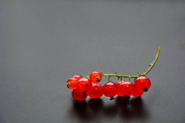 Frenk üzümü çilek dal siyah plaka arka plan üzerinde hizmet