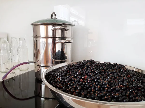 Sucul Coacăze Negre Face Prin Oală Storcător Aburi Bucătărie — Fotografie, imagine de stoc