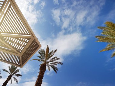 Güneşli gökyüzü ve plaj şemsiye Eilat tatil; İsrail
