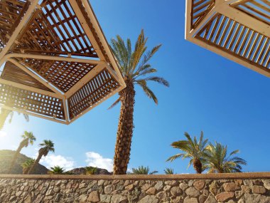 Güneşli gökyüzü ve plaj şemsiye Eilat tatil; İsrail