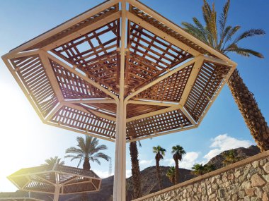 Güneşli gökyüzü ve plaj şemsiye Eilat tatil; İsrail