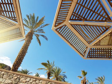 Güneşli gökyüzü ve plaj şemsiye Eilat tatil; İsrail
