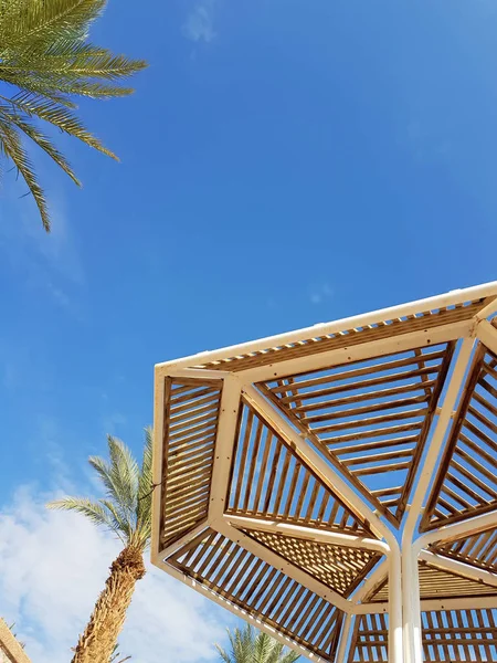 Güneşli gökyüzü ve plaj şemsiye Eilat tatil; İsrail
