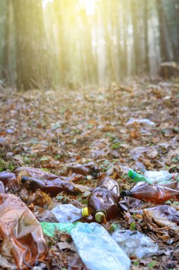 Plastik şişe çöp bir ormanda. Doğa kirliliği