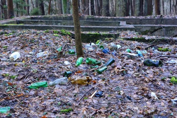 Bottiglia di plastica spazzatura in una foresta. Inquinamento naturale — Foto Stock