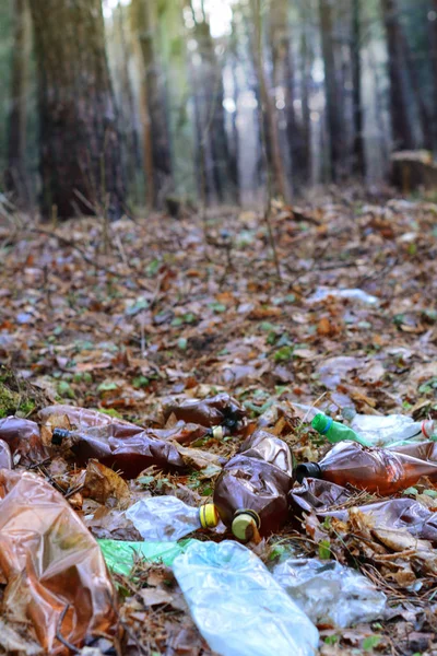 Plastic bottle garbage in a forest. Nature pollution