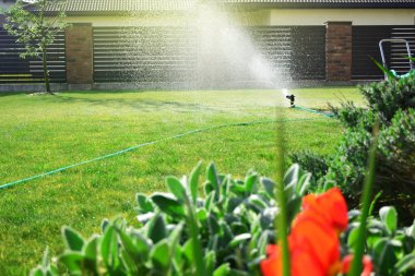 Yeşil çimenleri sulayan çim püskürtücü.