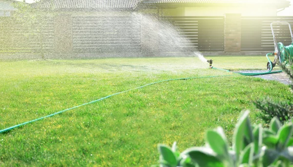 Græsplæne sprinkler vanding grønt græs - Stock-foto