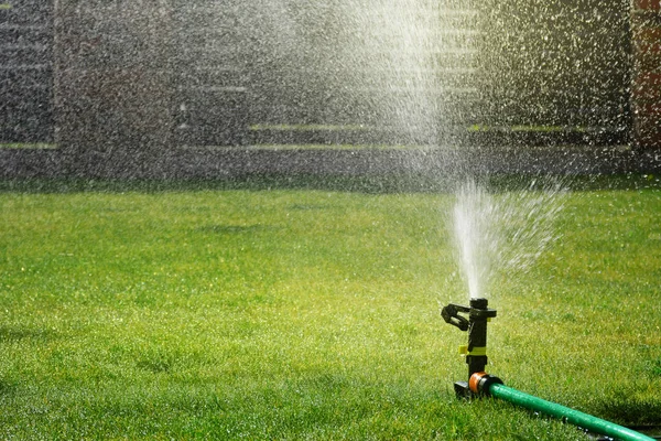 芝生の散水緑の草 — ストック写真