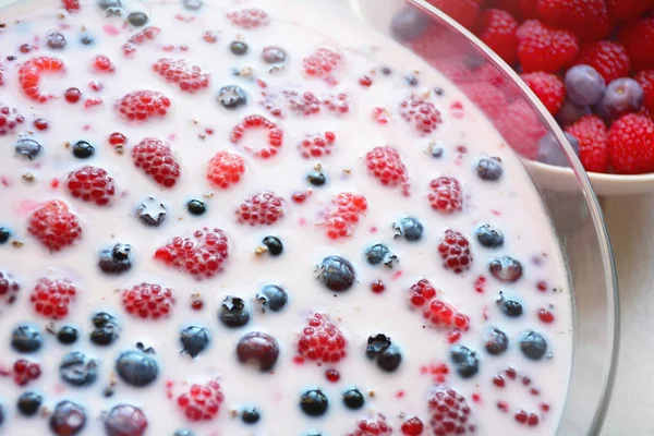 Eine Schüssel mit frischen Beeren und Joghurt Gelatine Dessert — Stockfoto