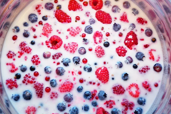 A bowl of fresh berries and yogurt gelatin dessert — Stock Photo, Image