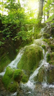 Ormandaki şelaleler. Plitvice ulusal parkı, Hırvatistan