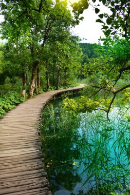 Ormandaki şelaleler. Plitvice ulusal parkı, Hırvatistan