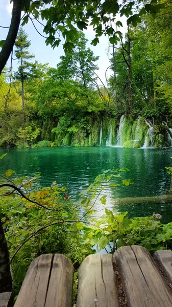 Cachoeiras na floresta. Parque nacional de Plitvice, Croácia — Fotografia de Stock