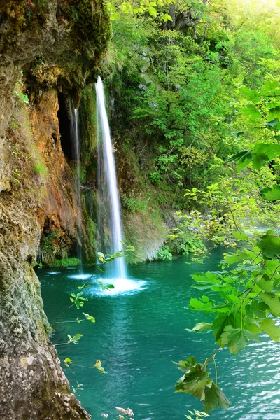 Cachoeiras na floresta. Parque nacional de Plitvice, Croácia — Fotografia de Stock