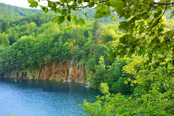 Водоспади в лісі. Національний парк Плитвицькі, Хорватія — стокове фото