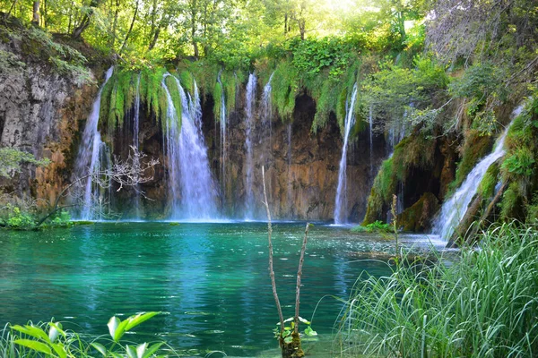 Cachoeiras na floresta. Parque nacional de Plitvice, Croácia — Fotografia de Stock