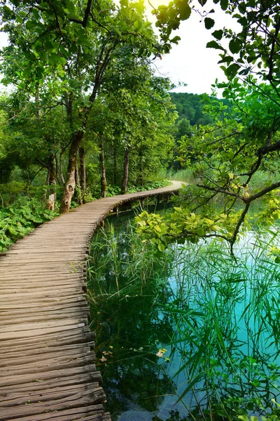 Cascate nella foresta. Parco nazionale di Plitvice, Croazia — Foto Stock