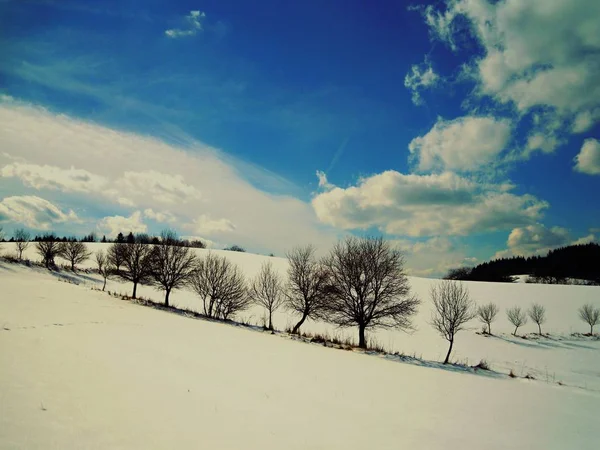 Una Bella Giornata Invernale Soleggiata — Foto Stock