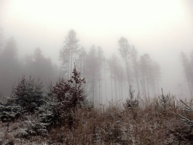 Zima se pozvolna blizi