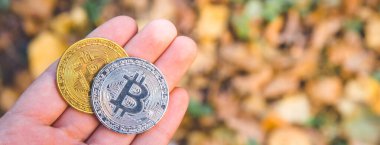  Altın tutan el ve ormandaki, sonbaharda gümüş bitcoin pa