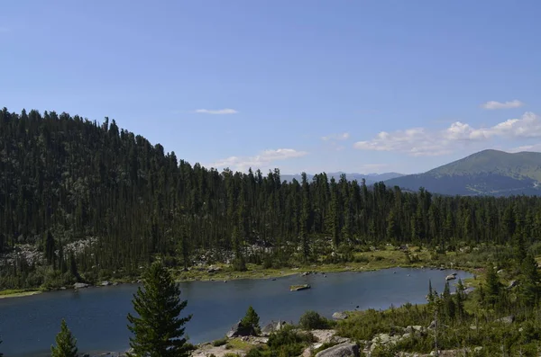 Valle Montaña Rocas Bosque — Foto de Stock