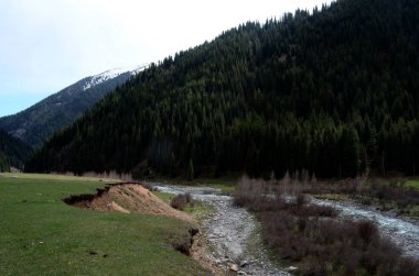 Kazakistan'ın Alpine meadows