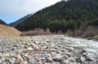 Kazakistan'ın Alpine meadows