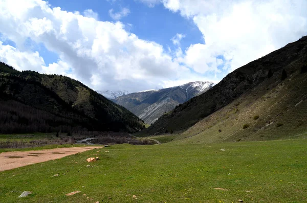 Alpine Meadows Kazakhstan — Stock Photo, Image